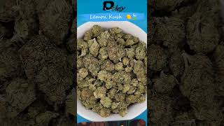 Lemon Kush  🍋🍃