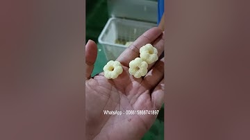 Trial operation of plum blossom wheat circle processing and puffing machine