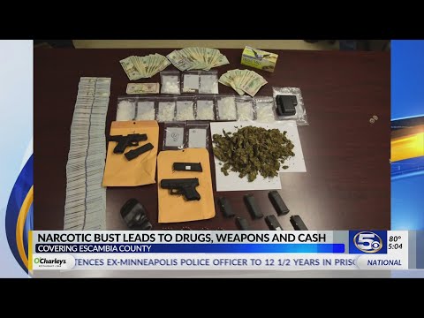 Escambia County Warrant Search