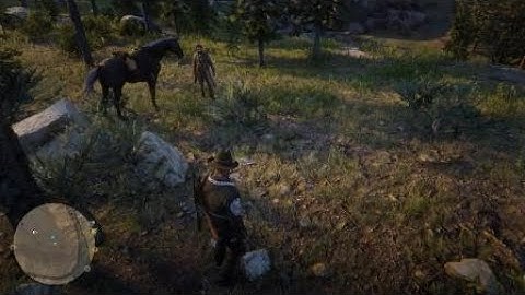 SLIDE CANCEL IN RED DEAD????