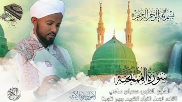 🛑ቃሪ ዶክተር ሚስባህ ሳኒ /ሱራ አል―መምተሂናህ/ የፈታኚቱ ምዕራፍ /سورةالممتحنت#قران_كريم