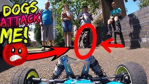 RC Car Chased by Dogs In N Out Prank - Puppy American Bully!!!