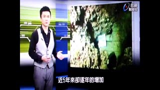 1050328周一生態反省夜 熱線追蹤1728海洋垃圾