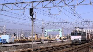 EF65 2060号機[鶴]牽引　高速貨物列車