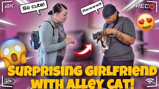 Celebrity SURPRISING GIRLFRIEND WITH A CAT... then telling her i found it in the alley! Profile