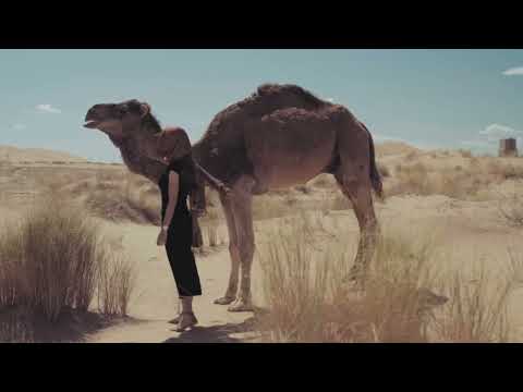 Dubai: City of the Future & Desert Adventure – A Journey in One Video