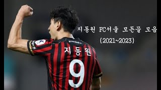 지동원 FC서울 모든골 모음(2021~2023) | Ji Dong-Won FC Seoul All Goal (2021~2023)