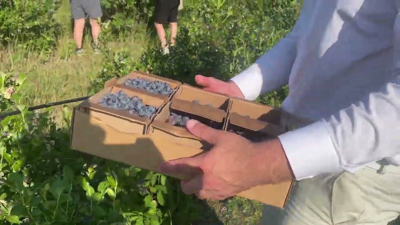 Гулькевичей сборный дом каталог