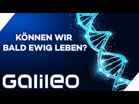 Video: Wird Der Mensch In Zukunft Ewig Leben?