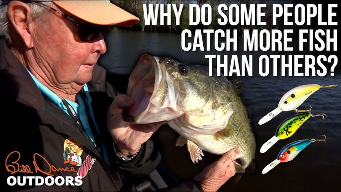 Catch bass in cold, shallow water!