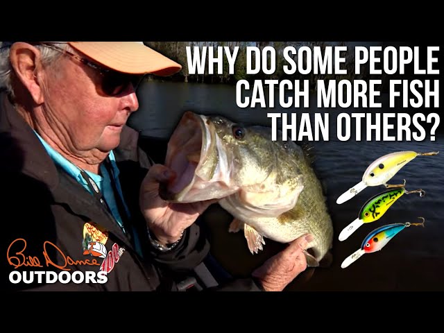 Why do some people catch more fish than others?