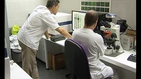 A Region of Scientific. Immunology and immune tolerance in transplants