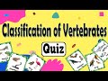 Vertebrate Classification Quiz
