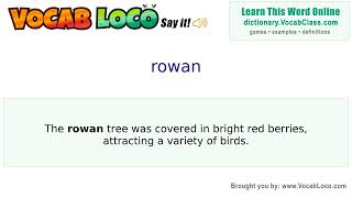 Rowan – English Pronunciation, Definition, Synonyms, Antonyms, Example Sentence