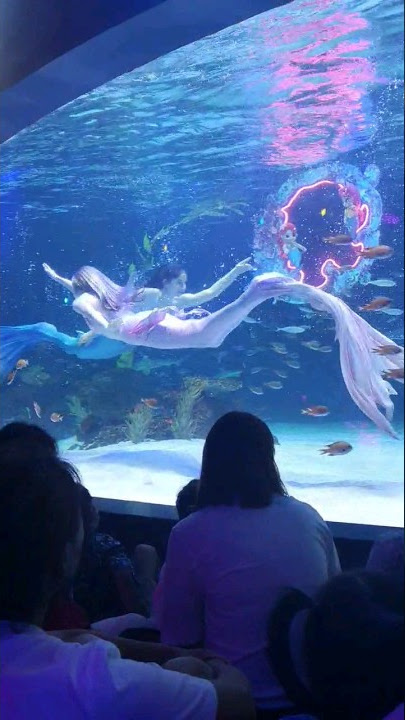 seoul 63 building aquarium mermaid 🧜‍♀️ show😍 #like #comment #share #subscribe #mermaid #southkorea