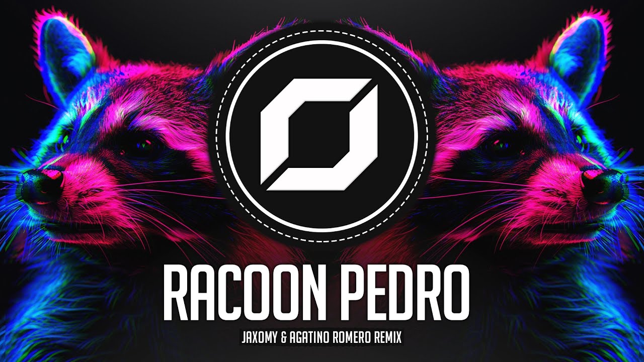 PEDRO - Raffaella Carrà Remix | 1 HOUR VERSION (TikTok Trends 2024)