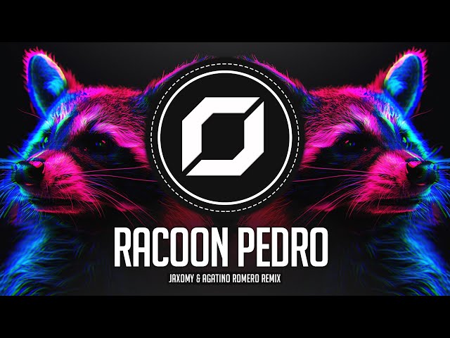 TECHNO ◉ Raffaella Carrà - Pedro (Jaxomy u0026 Agatino Romero Remix) TikTok Song class=