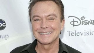 Celebrity David Cassidy dead at age 67 Net Worth