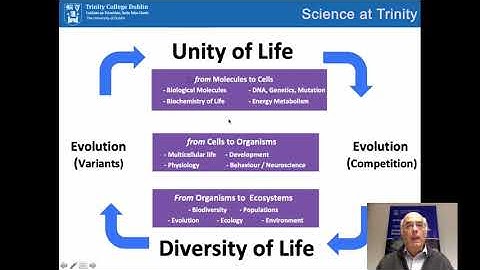 Study Biological and Biomedical Sciences Programme at Trinity College Dublin