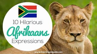 10 Funny Afrikaans Idioms 🇿🇦
