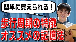 簡単に覚えられる！歩行周期の特徴を覚えるポイントを徹底解説！！【歩行×理学療法】