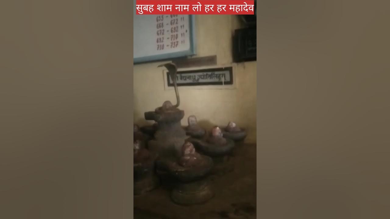 Jab Se Sar Pe Tera Hath (Video)Jubin Nautiyal|#shortsviral #shortfeeds #@richakibhakti Jab Se Sar Pe Tera Hath (Video)Jubin Nautiyal|#shortsviral #shortfeeds #@richakibhakti