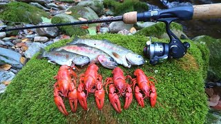 Mongo Crawfish and Trout Cookout at the Mountains!