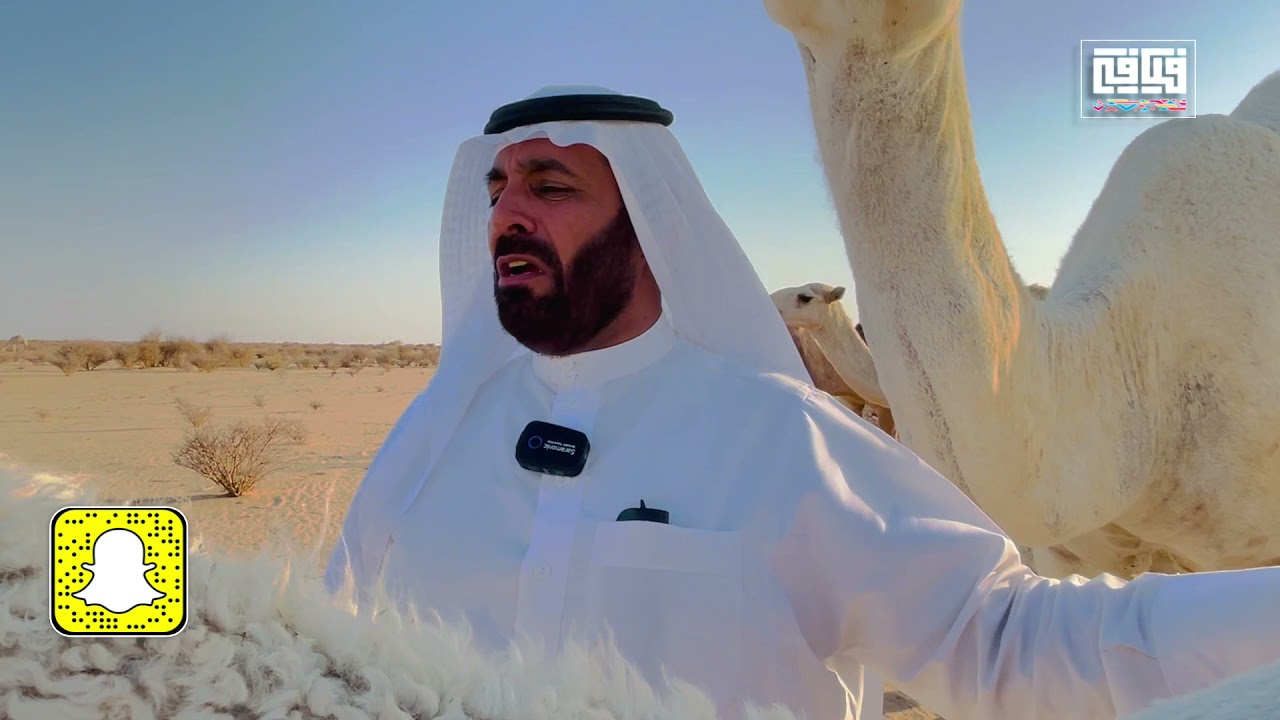 عصريتنا اليوم برية وشعرية عند الشاعر علي بن صامل العازمي عند الذود واستمتعتا بالقصيد والبل والسوالف