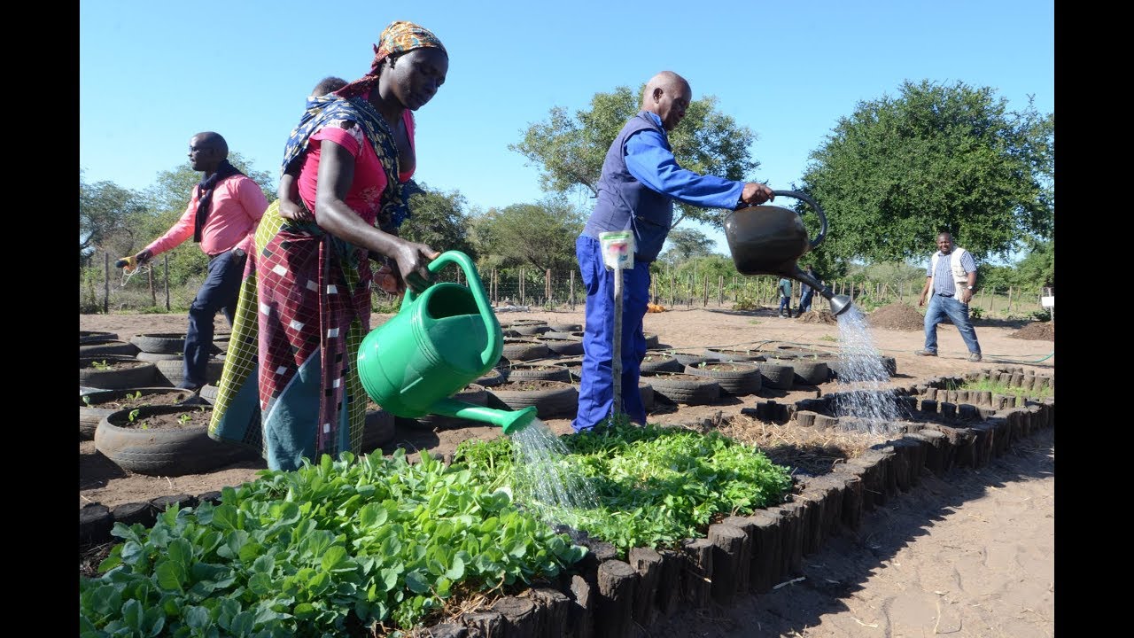Projeto ajuda camponeses de Moçambique a se adaptarem às mudanças climática