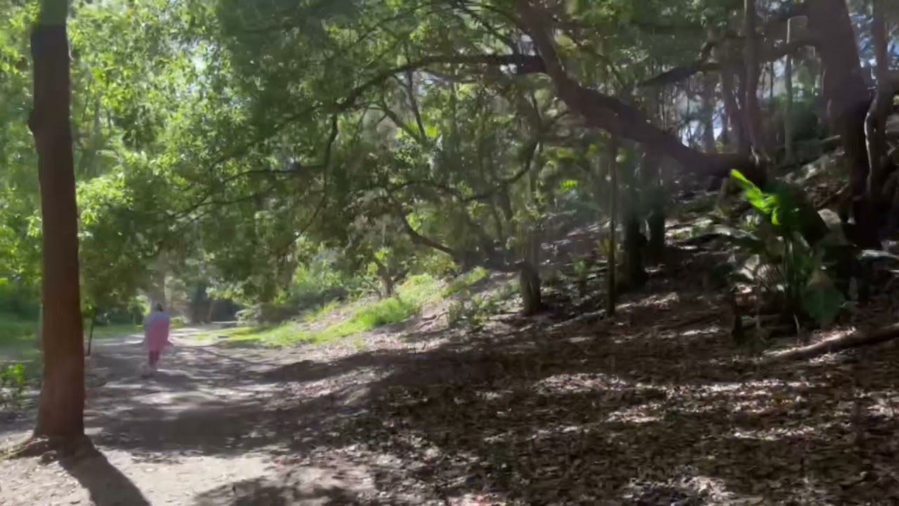 Bronte to Bondi walk - Sydney