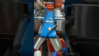 Fish Fillet Target Batcher