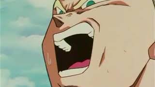 セル なんちゃって Youtube
