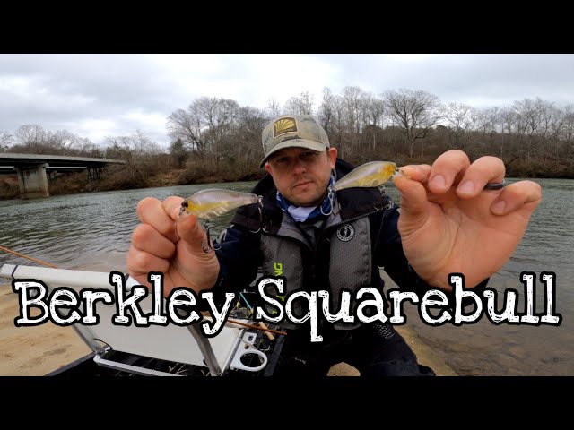 Berkley Squarebull Crankbait - Fishing in TOUGH CONDITIONS 