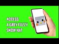 How to Access a Grey Fuzzy Snow Hat on Finch