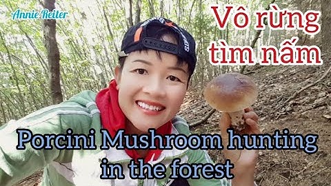 Vô rừng tìm và hái nấm P3 | Porcini Mushrooms in the forest - Annie Reiter