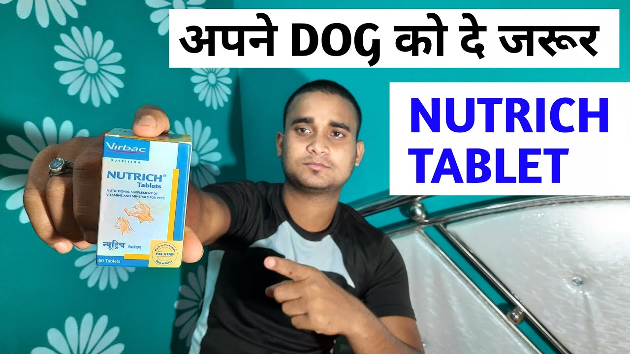 Nutrich tablets Best medicine for dogs YouTube