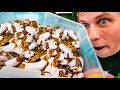 UNBOXING A MILLION DOLLARS OF SNAKES!!! WHAT THEY USED TO COST!!  | BRIAN BARCZYK