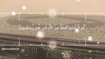 بتلاوة باكية ومؤثرة جداً من سورة الأنبياء للقارئ سلطان العمري