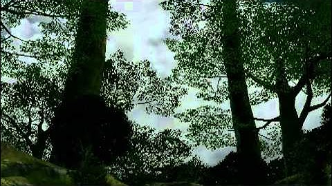 Final Fantasy XIV (FFXIV) Beckon of the Elements Part 2