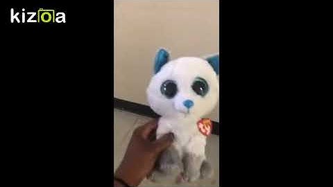 Kizoa Movie - Video - Slideshow Maker: Homework6