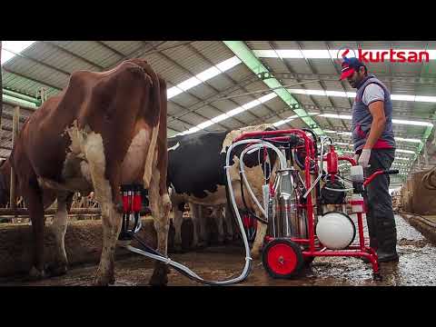 Kurtsan Mobile Milking Machine - Portable Milker