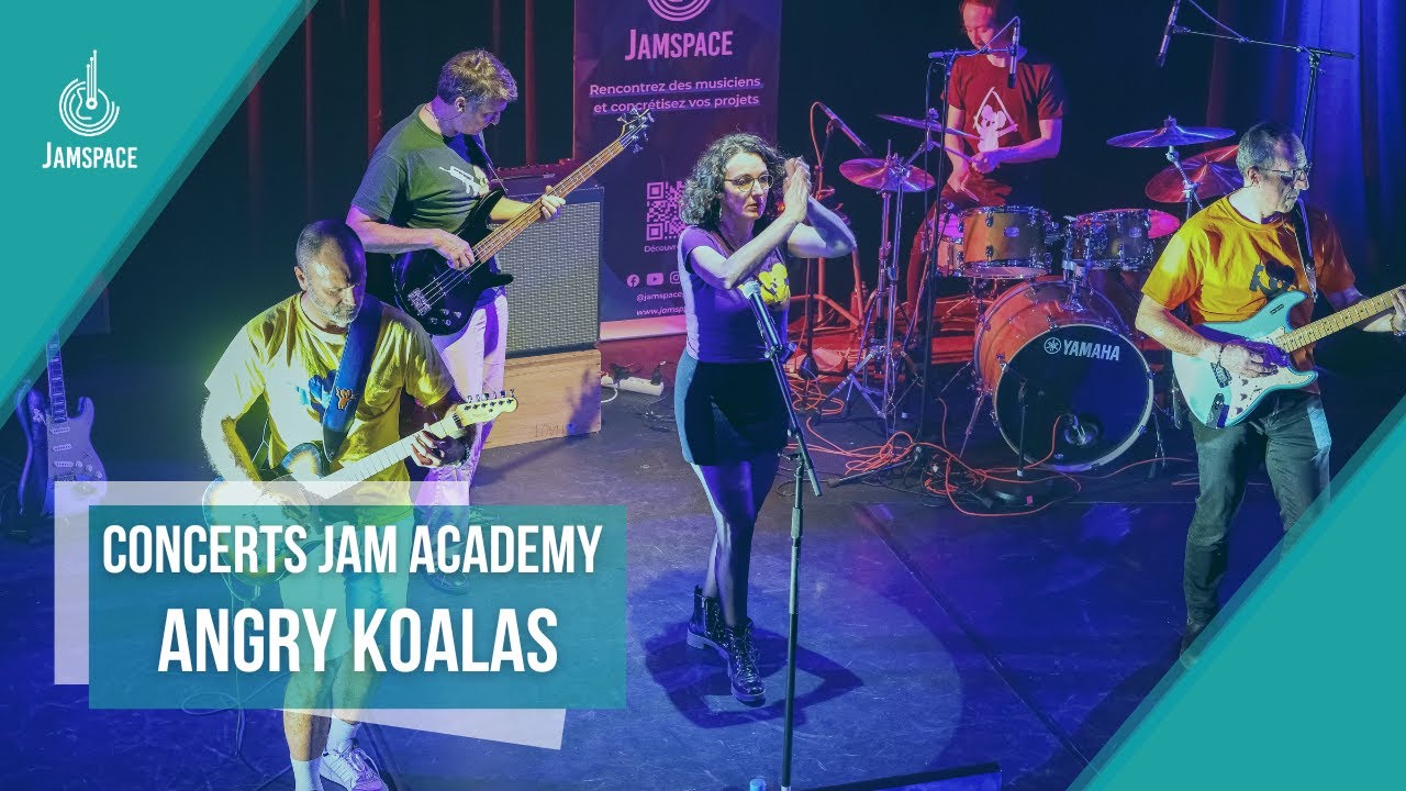 Angry Koalas - Concert 