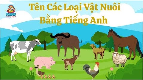 Học Tên Các Vật Nuôi Bằng Tiếng Anh - Phần 1| English Vocabulary for Kids |  Animals for Kids