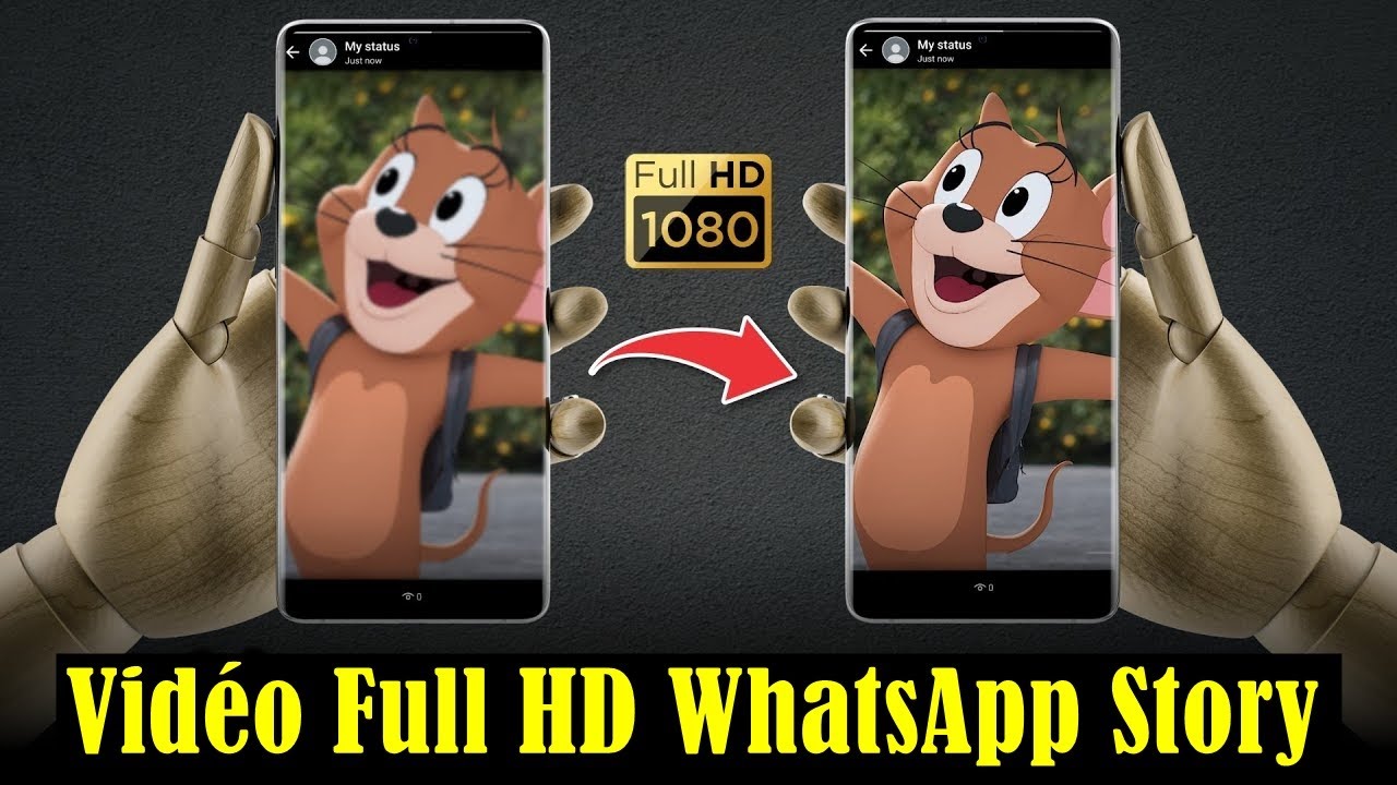Comment Télécharger Le Statut WhatsApp HD Sans Perte De Qualité