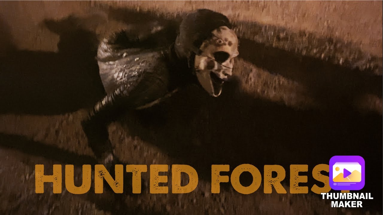 WE WENT TO A HUNTED FOREST 