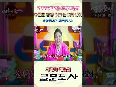2023계묘년 대박예감 재물운 팡팡 터지는 <strong>띠와나이</strong> / 시대의대만신들 신퇴마록