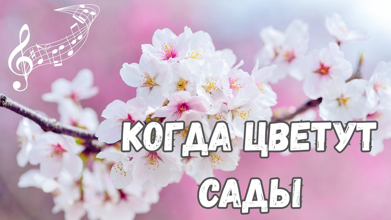 КОГДА ЦВЕТУТ САДЫ — ШИКАРНАЯ И НЕОБЫКНОВЕННАЯ ПЕСНЯ 🌷| ПРЕМЬЕРА 2026