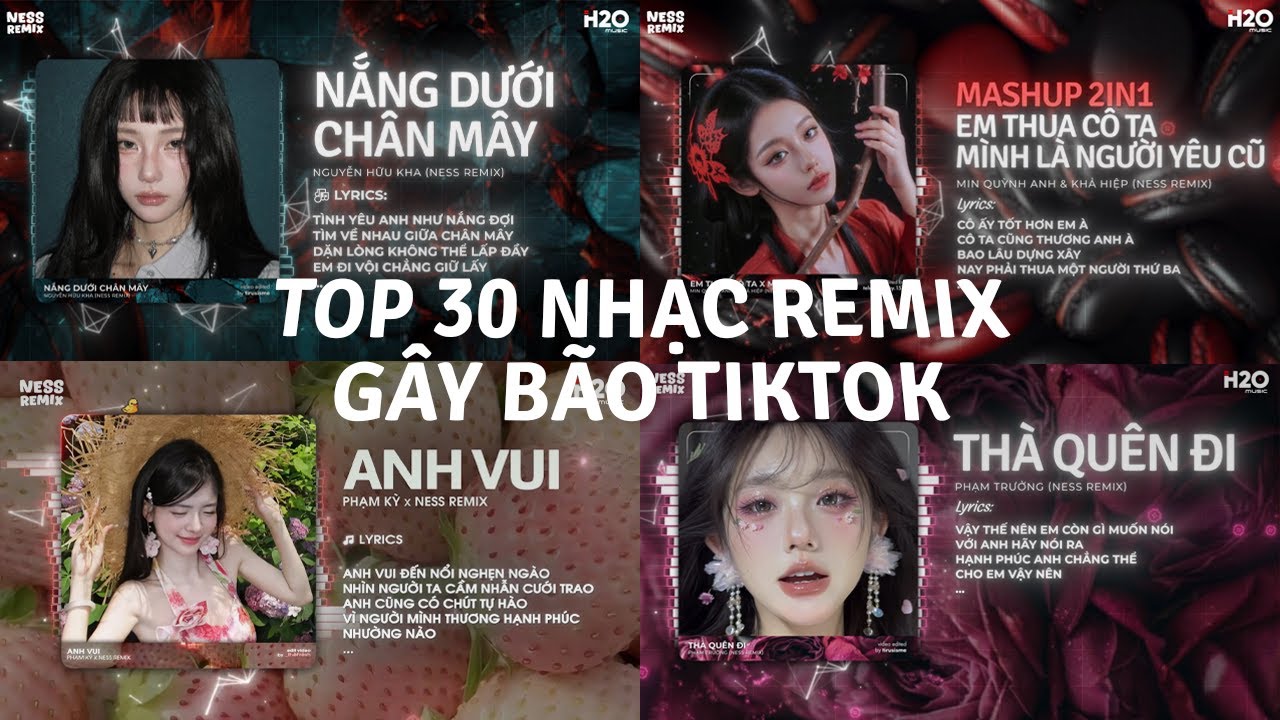 TOP 30 Nhạc Remix Gây Bão TikTok: Nắng Dưới Chân Mây, Em Thua Cô Ta, Mình Là Người Yêu Cũ, Anh Vui