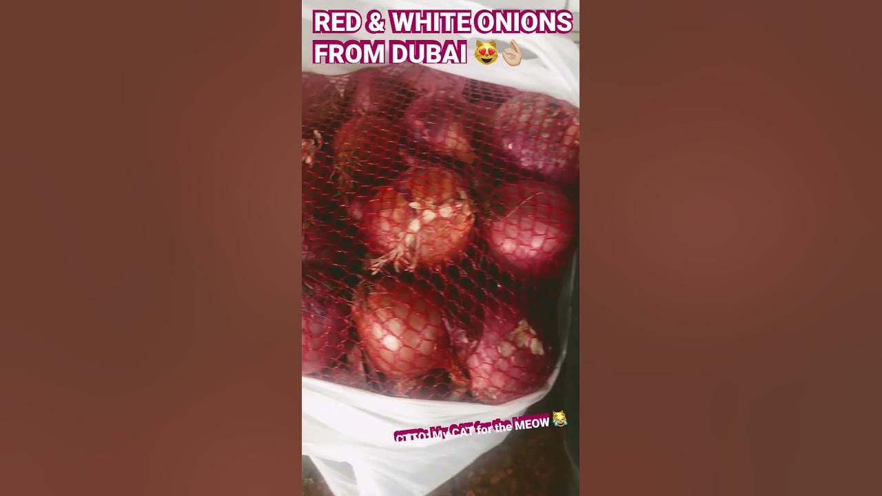 WHY ONIONS ARE EXPENSIVE THAN MEAT IN THE PHILIPPINES? shorts onions