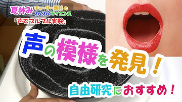 摩訶不思議！声の模様が現れる！！？自由研究におすすめ！/声のぶるぶる実験２/米村でんじろう［公式］　Science Experiments　/　voice pattern　/